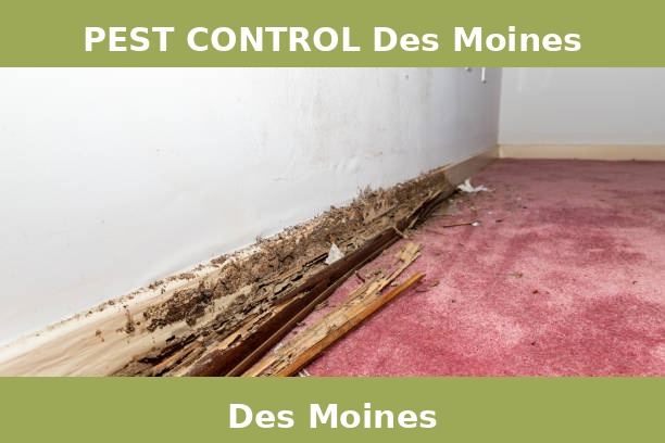 PEST CONTROL Des Moines